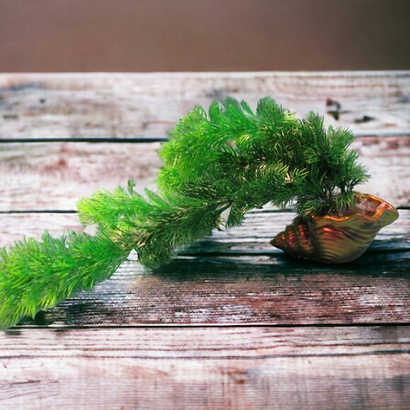 Aquarium Decoration - Red Gold Shell with Tall Green Plant. - Picture 3 of 5